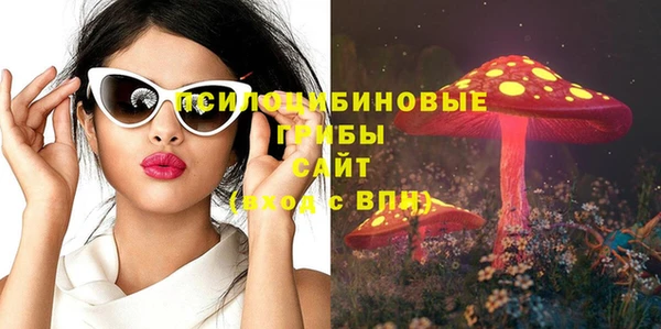 меф Бородино