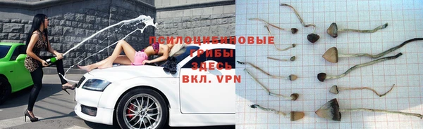 меф Бородино